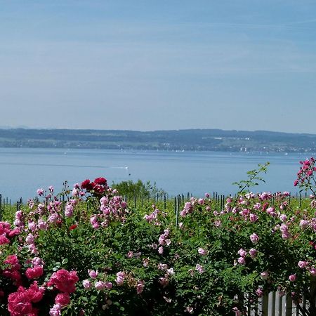 Abc Ferienwohnungen Abc Wohnung A Meersburg Bagian luar foto