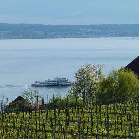 Abc Ferienwohnungen Abc Wohnung A Meersburg Bagian luar foto